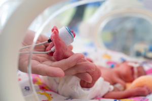 港人北上深圳植髮 專業可靠又實惠